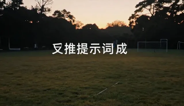 prompt交易怎么分享：澄清理解误区与适用条件