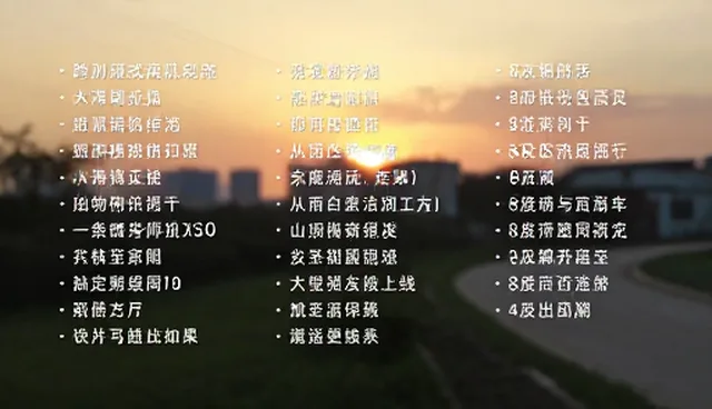 短视频提示词网盘发货：两种做法的对比与选择